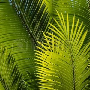 Meet your Posher, Karla